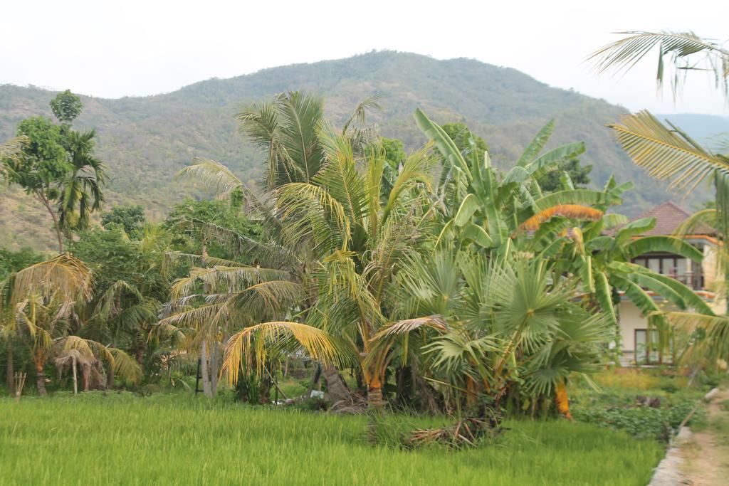 Taman Padi Villa アメッド エクステリア 写真